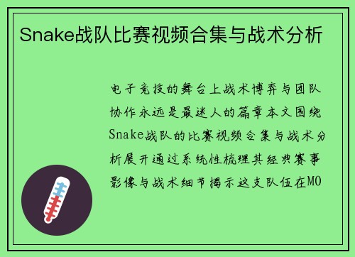 Snake战队比赛视频合集与战术分析